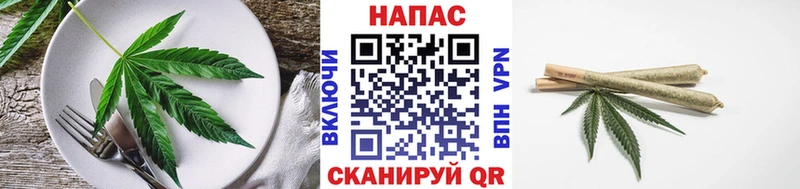 Cannafood конопля Волхов