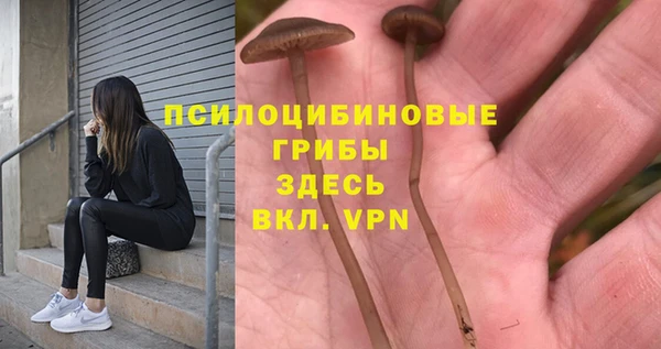 2c-b Алзамай