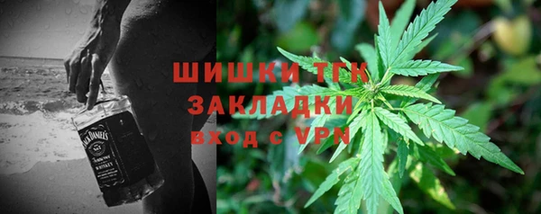2c-b Алзамай