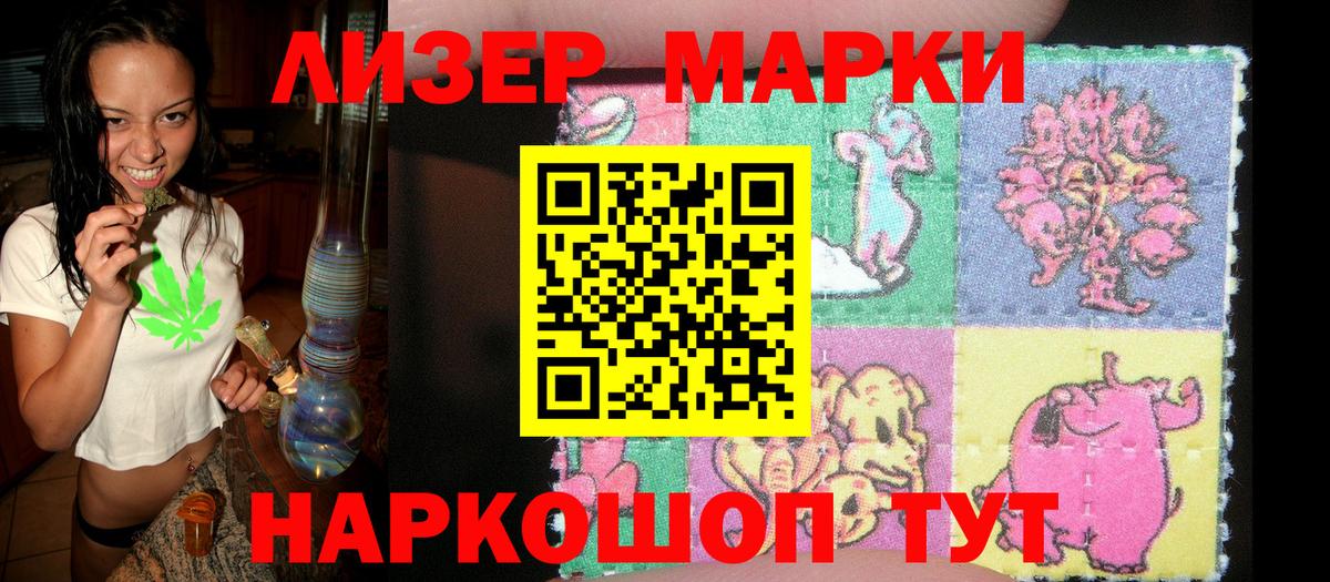 Волхов  Наркотические марки 1,5мг  Вход с VPN 