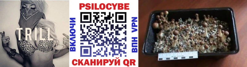 наркошоп  Волхов  Галлюциногенные грибы Cubensis 