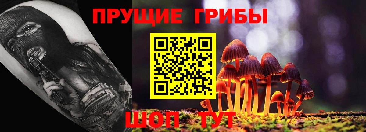 Псилоцибиновые грибы ЛСД  Псилоцибиновые грибы Magic Shrooms  Вход с VPN  Волхов 